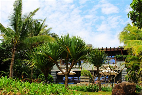 满婆婆现烤牛肉卷饼