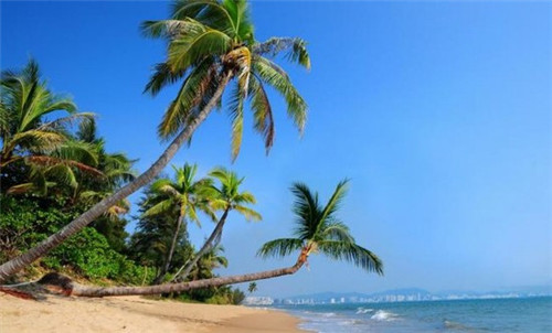 渔太郎日本料理