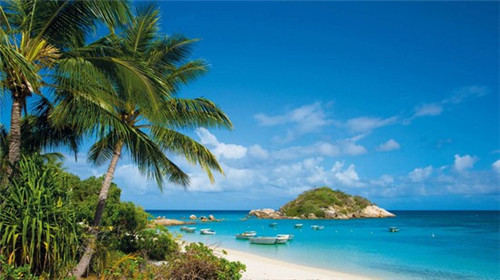 稻米肴新潮派煎饼