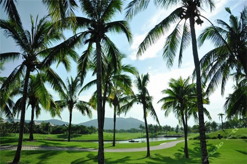 广河县开店自动烹饪锅哪些品牌性价比高