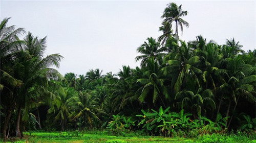 在金坛市加盟七号桌烧肉饭开店优势大吗，在金坛市适合夫妻店的中式快餐项目有哪些