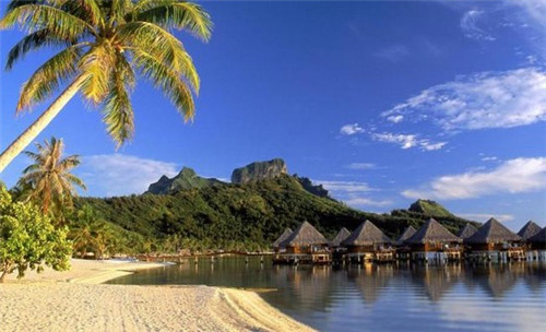 耐候胶加盟创业好项目推荐